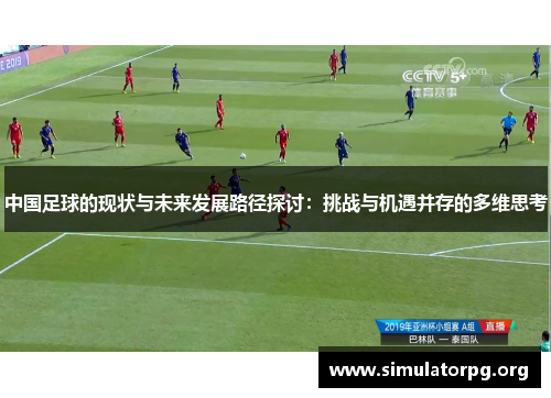 中国足球的现状与未来发展路径探讨：挑战与机遇并存的多维思考