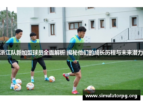 浙江队新加盟球员全面解析 揭秘他们的成长历程与未来潜力