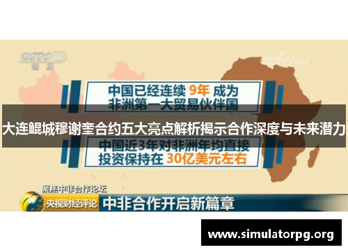 大连鲲城穆谢奎合约五大亮点解析揭示合作深度与未来潜力
