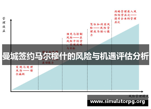 曼城签约马尔穆什的风险与机遇评估分析