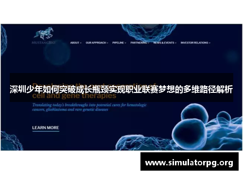深圳少年如何突破成长瓶颈实现职业联赛梦想的多维路径解析