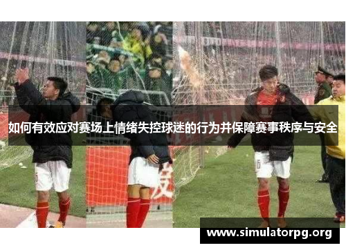 如何有效应对赛场上情绪失控球迷的行为并保障赛事秩序与安全