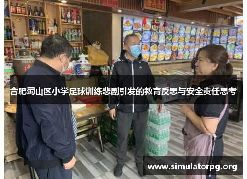 合肥蜀山区小学足球训练悲剧引发的教育反思与安全责任思考