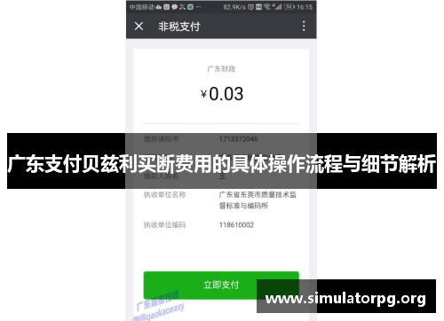 广东支付贝兹利买断费用的具体操作流程与细节解析