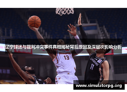 辽宁球迷与裁判冲突事件真相揭秘背后原因及深层次影响分析