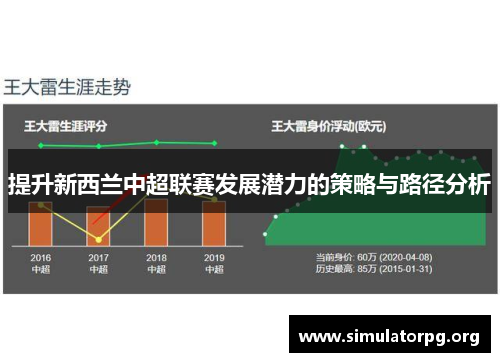 提升新西兰中超联赛发展潜力的策略与路径分析 提升新西兰中超联赛发展潜力的策略与路径分析