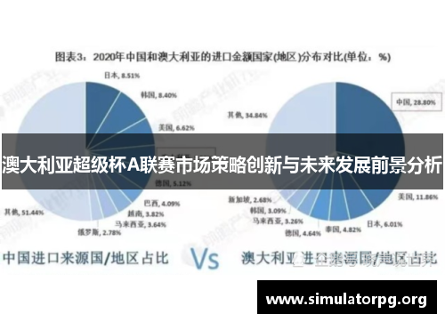 澳大利亚超级杯A联赛市场策略创新与未来发展前景分析